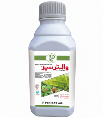 Gemini_Generated_Image_usioatusioatusio