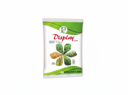 Gemini_Generated_Image_v0ve9yv0ve9yv0ve