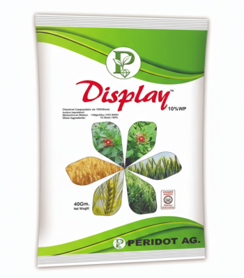 Gemini_Generated_Image_yctnwbyctnwbyctn