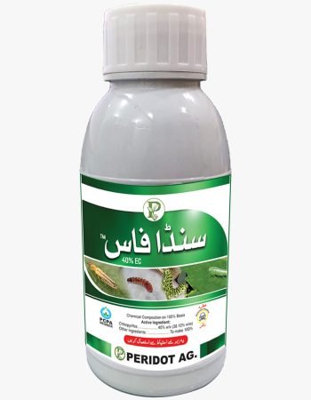 WhatsApp Image 2025-10-16 at 6.32.09 PM