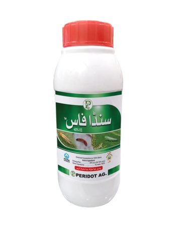 WhatsApp Image 2025-11-24 at 2.09.41 PM