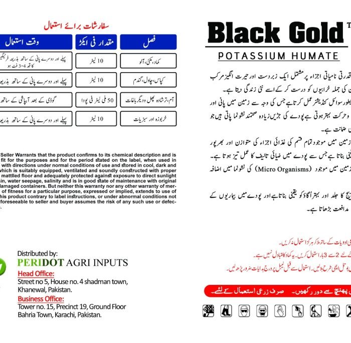 WhatsApp Image 2025-11-24 at 2.10.07 PM (1)