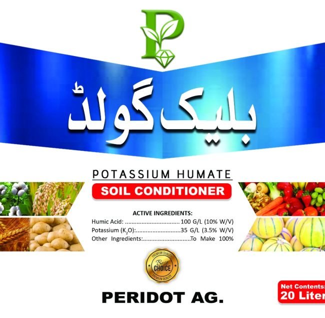 WhatsApp Image 2025-11-24 at 2.10.07 PM