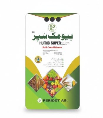 WhatsApp Image 2025-11-25 at 16.20.11_b2cece43