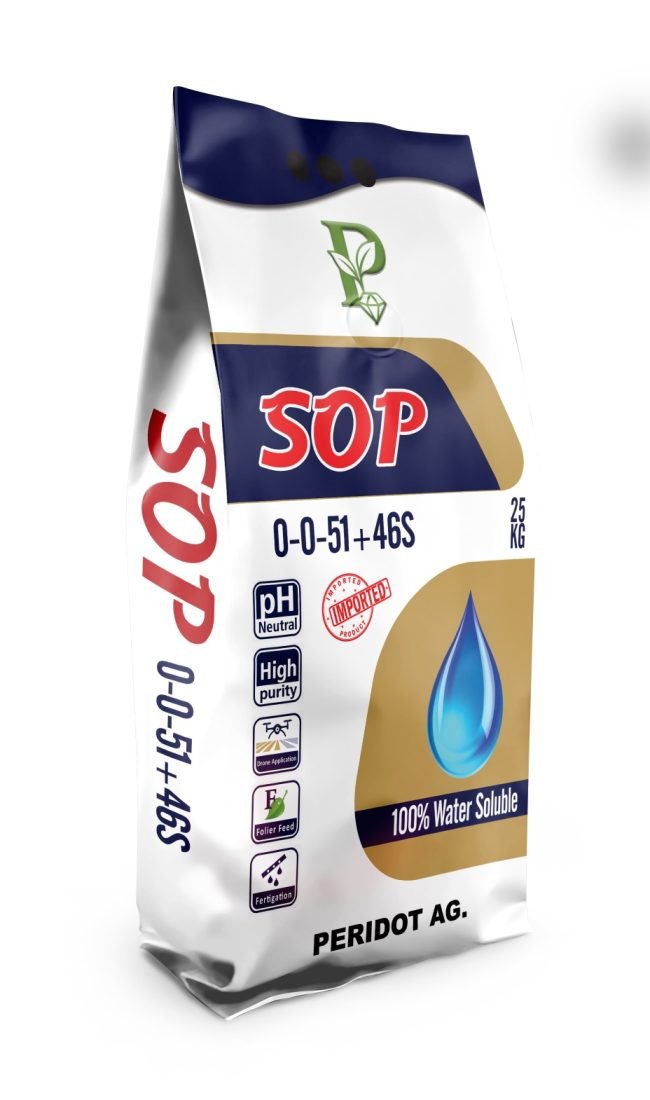 WhatsApp Image 2025-12-29 at 5.14.03 PM (1)