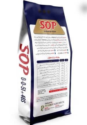 WhatsApp Image 2025-12-29 at 5.14.03 PM