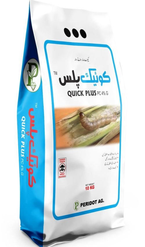 WhatsApp Image 2025-12-29 at 5.14.05 PM (1)