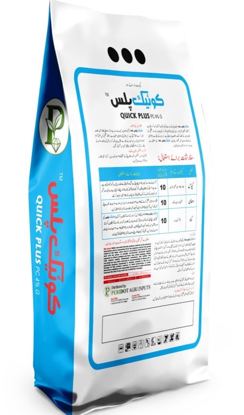 WhatsApp Image 2025-12-29 at 5.14.05 PM