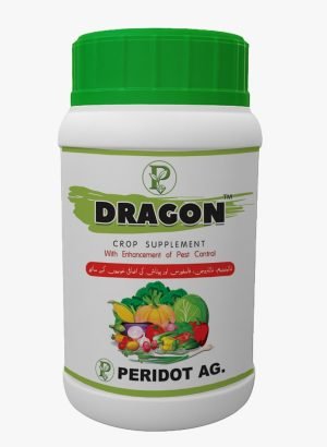 WhatsApp Image 2025-12-29 at 5.16.58 PM (1)