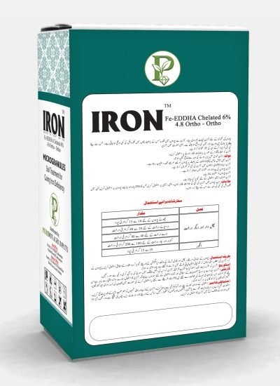 WhatsApp Image 2025-12-29 at 5.18.29 PM (1)