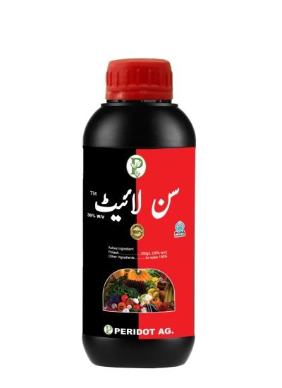 WhatsApp Image 2025-12-29 at 5.18.32 PM