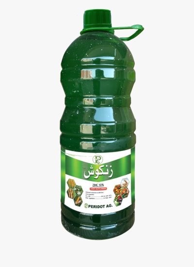 WhatsApp Image 2025-12-29 at 5.18.34 PM