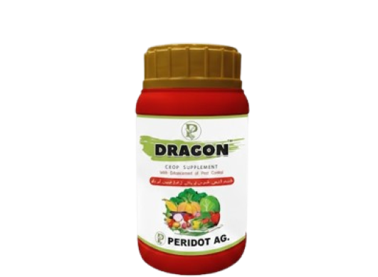 unnamed-removebg-preview